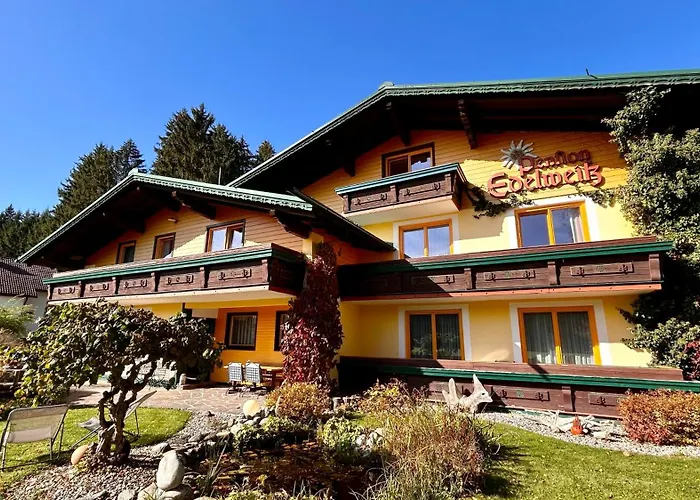Pension Edelweiss Mitterberg照片