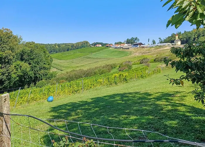 Schoenes Ferienhaus Sankt Peter am Ottersbach fotorgafie
