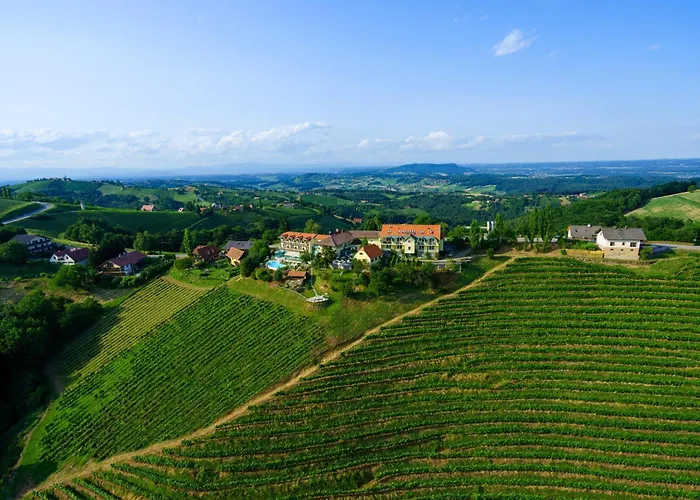 صورة Das Kappel Wein Gut Hotel كيتسك إيم زاوزال