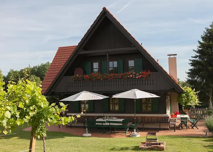Ferienhaus Neubauer Spielfeld Foto